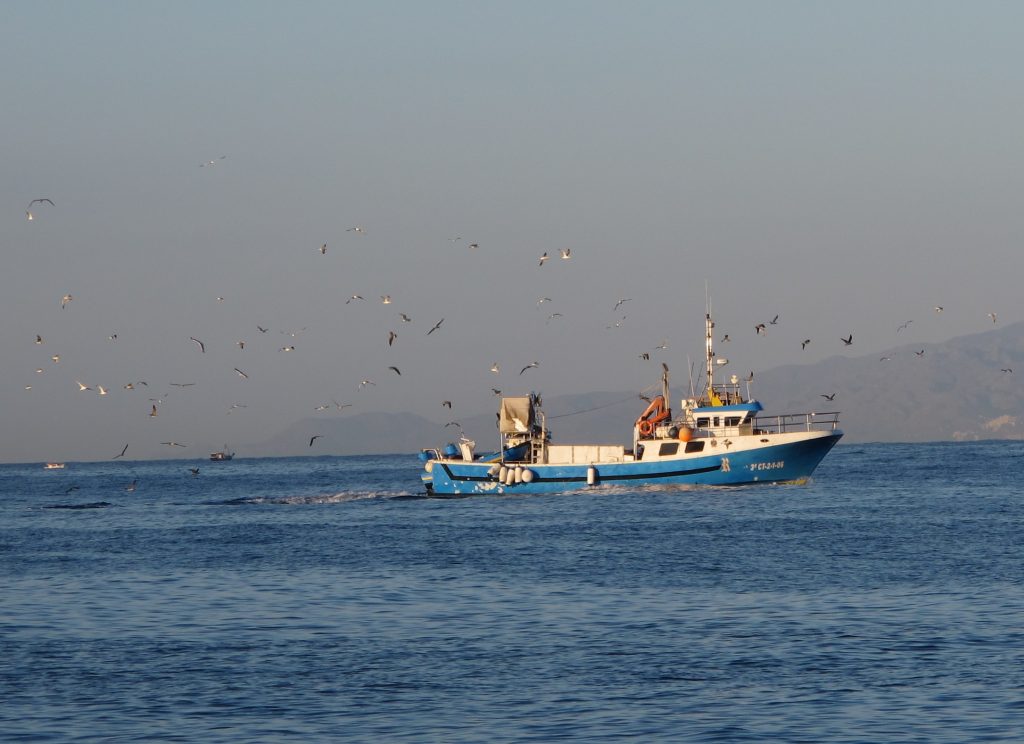 Fiskebåt på vei hjem fra havet.