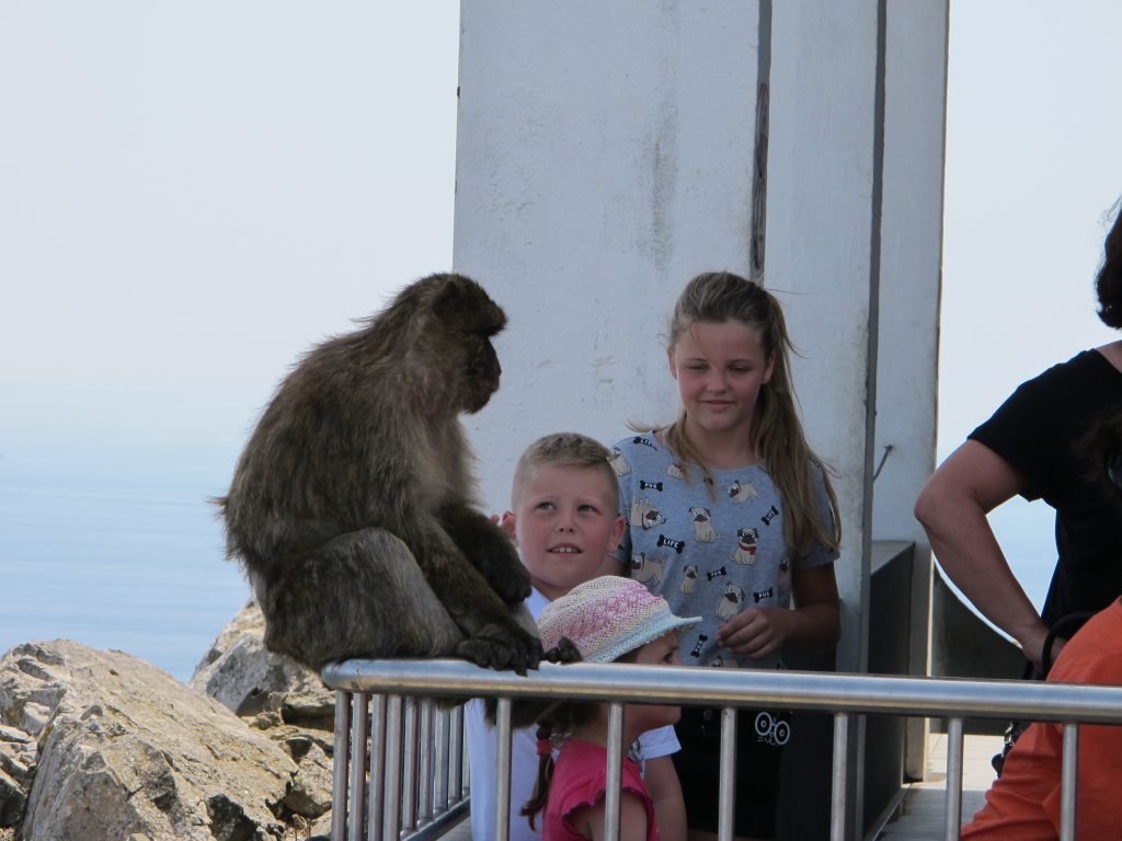 Denne sjarmøren lot seg fotografere sammen med diverse mennesker. Det tok ganske lang tid før den ble lei.