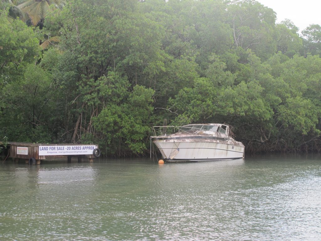 Noen har glemt å vedlikeholde båten sin. Marigot Bay er et sted der man kan ha båten under orkansesongen. Et såkalt "Hurricane hole". Men kjører båten inn i mangrovene og fortøyer med alt man har av tau.